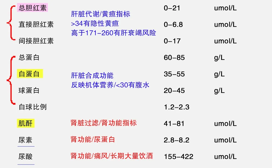 肝功能报告单详解,3分钟教你看懂!