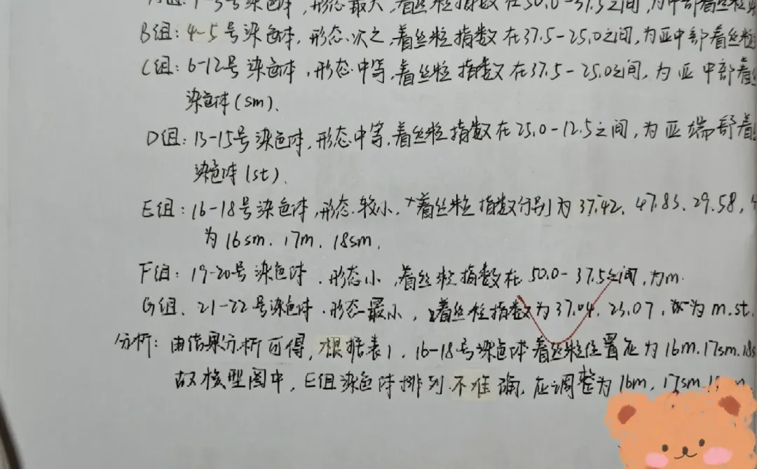 人类染色体G带观察与核型分析