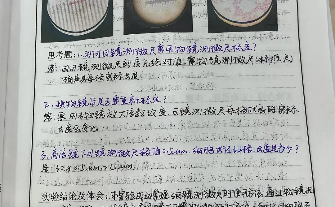 细胞显微结构观察及大小测量