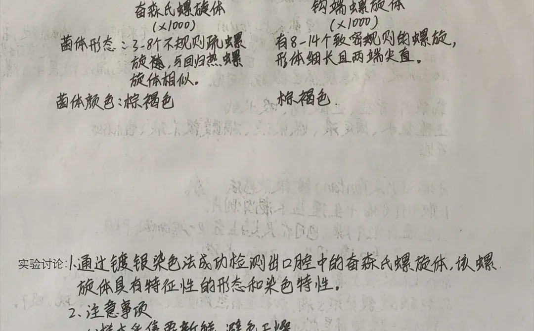微生物免疫整合‖螺旋体的观察