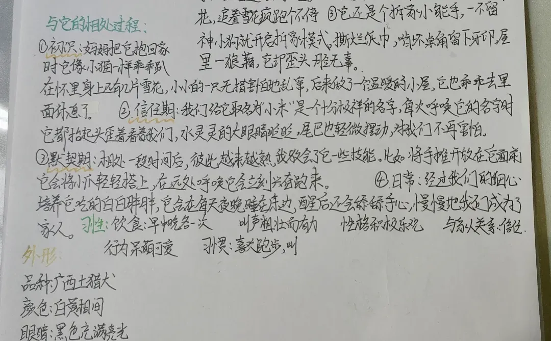 小动物观察记录