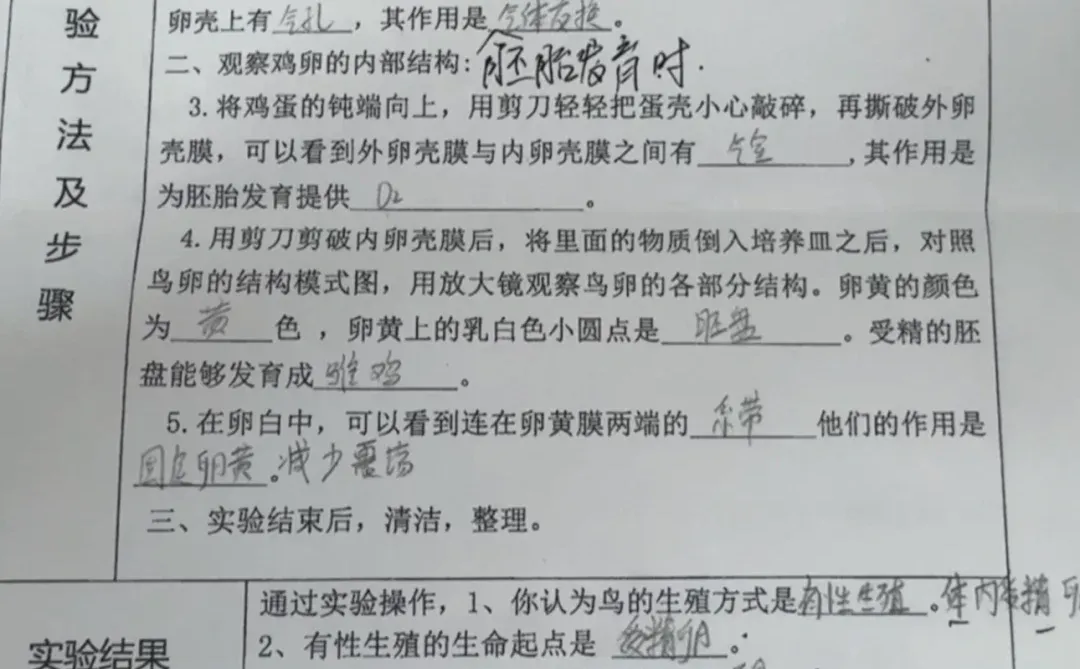 八下生物实验报告观察鸡卵的结构