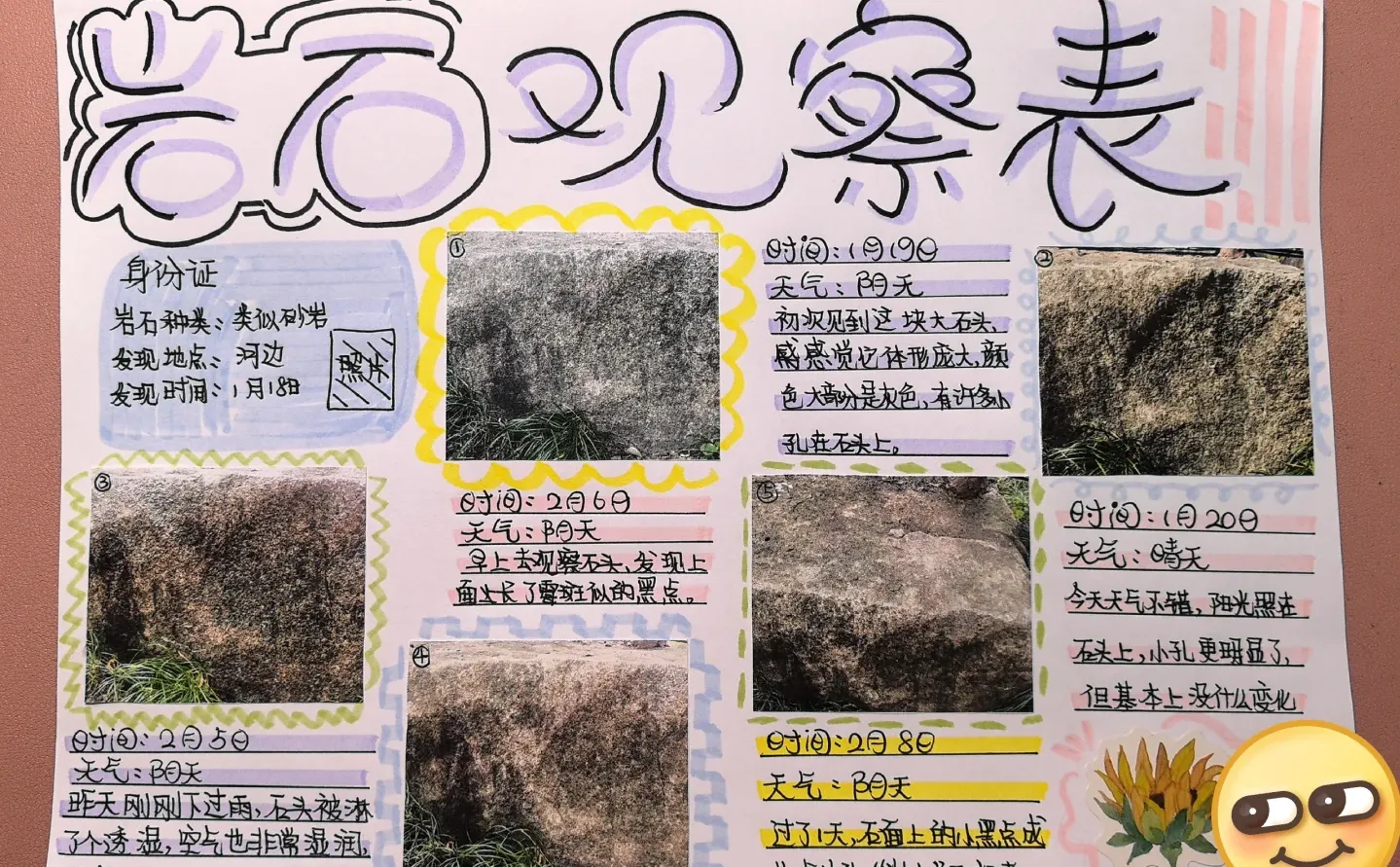 寒假科学作业岩石观察记录表