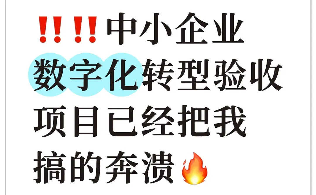 ‼️‼️中小企业数字化转型验收项目已经把我搞