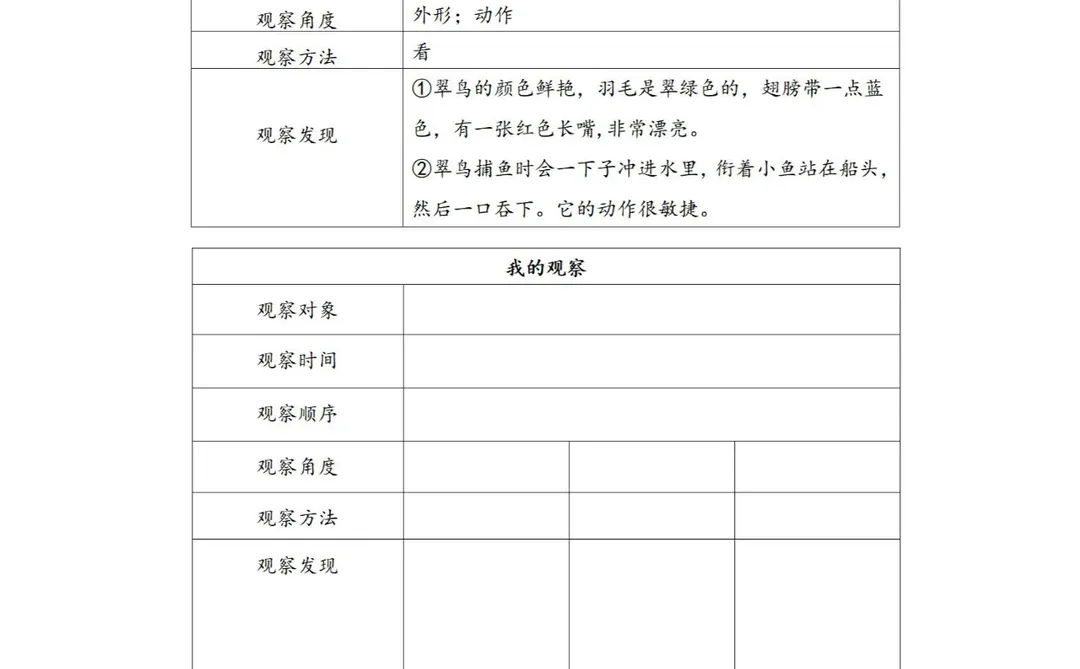 三上五单元 观察记录单（附空白表格