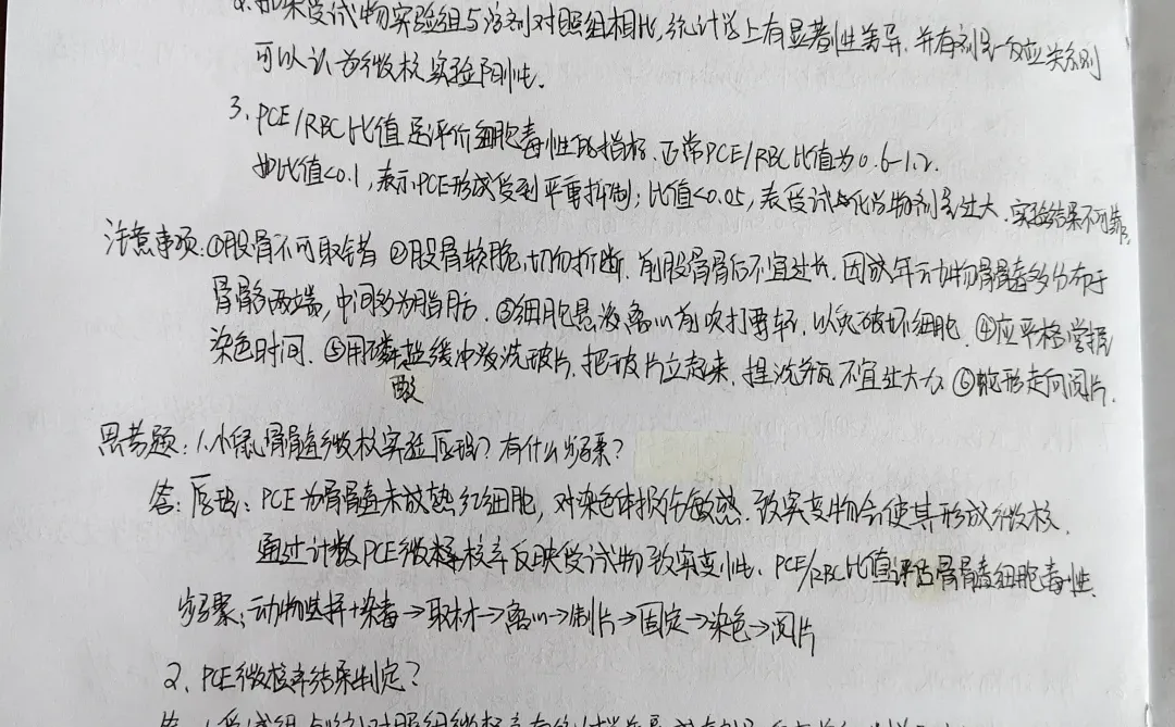 毒理学基础实验报告(四)
