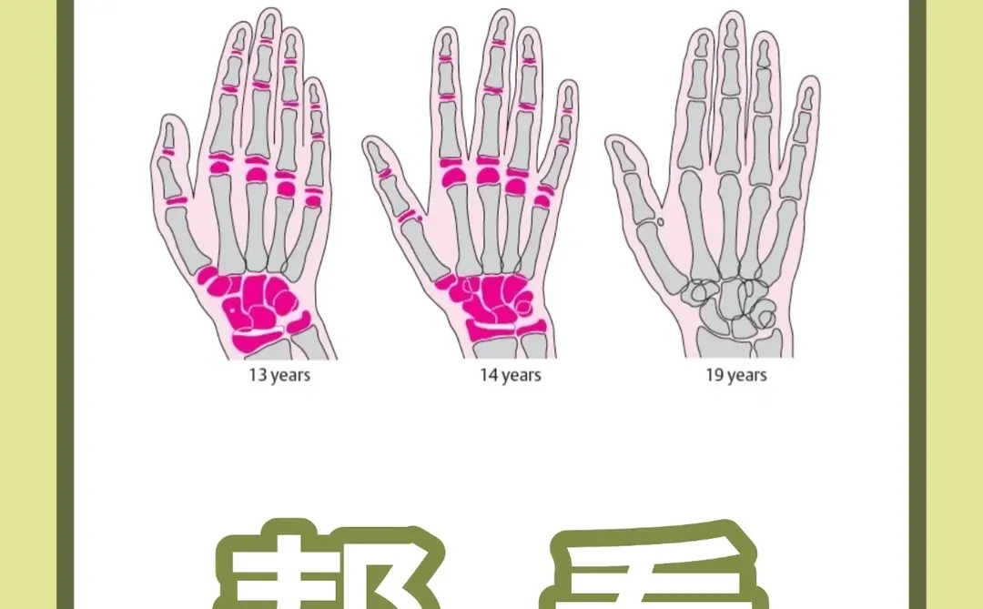 ⁉️孩子的?龄报告 你真的看懂了吗？