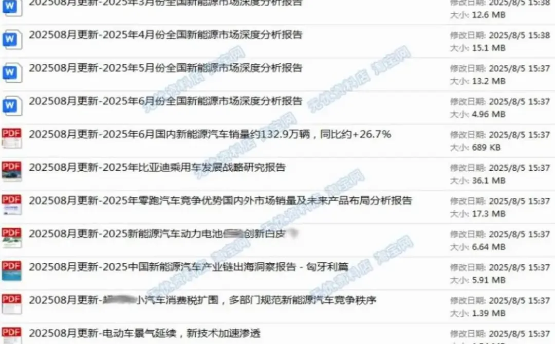 ?2025新能源车报告来啦！