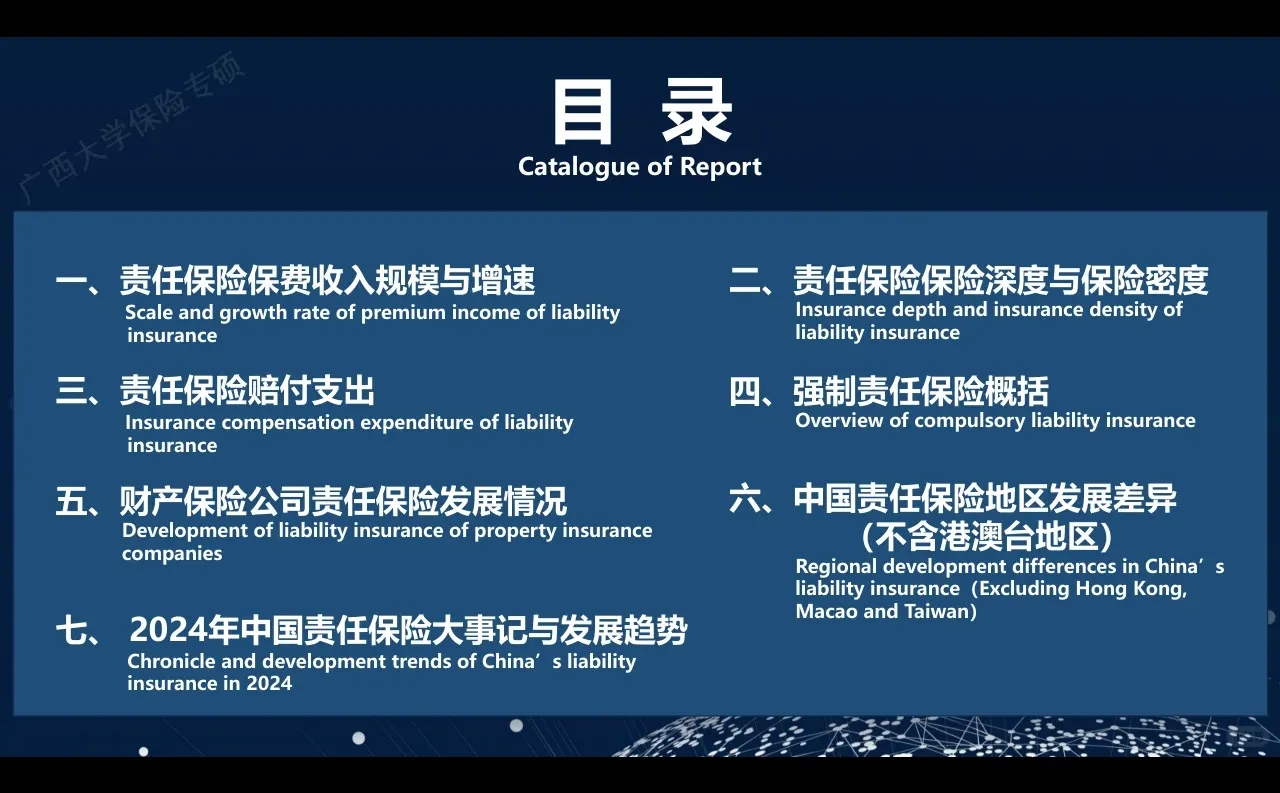 2024年中国责任保险发展报告