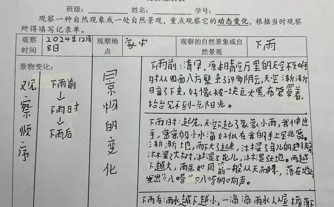 五年级上，自然现象观察表。