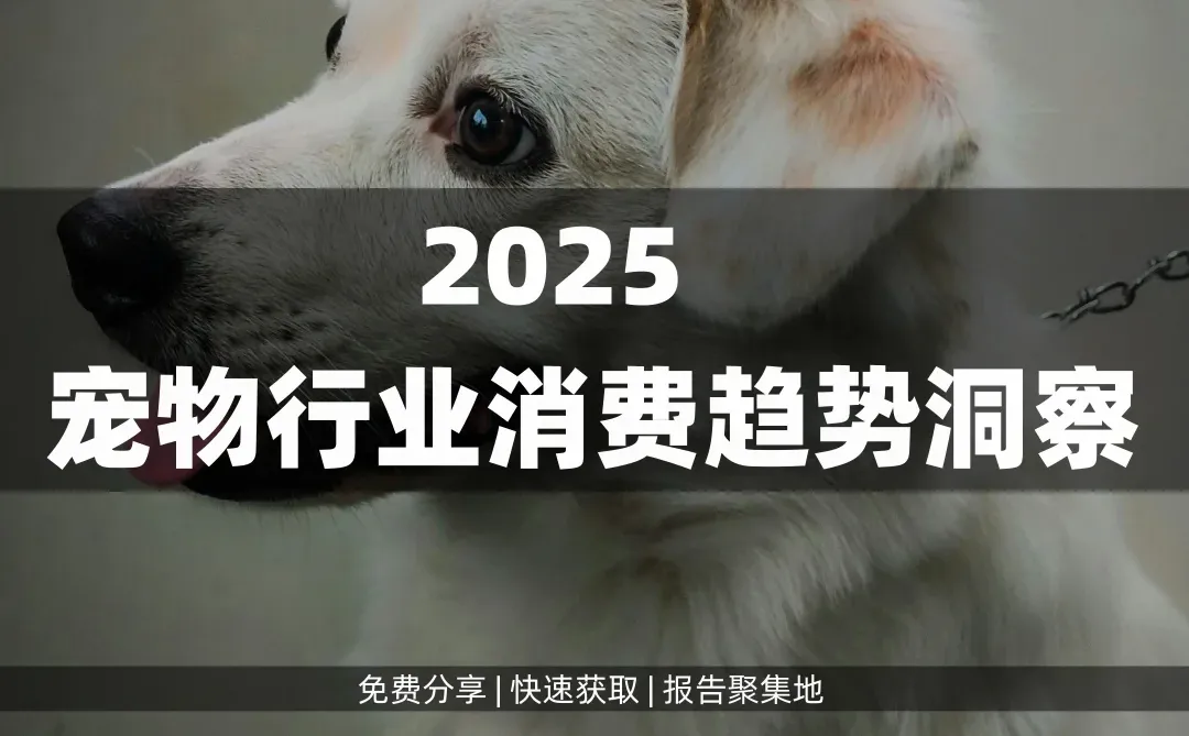 31页|2025想入行宠物赛道?先看这趋势洞察