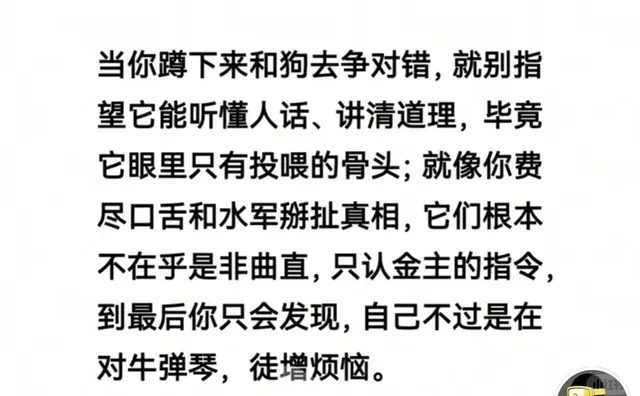 财报真探
