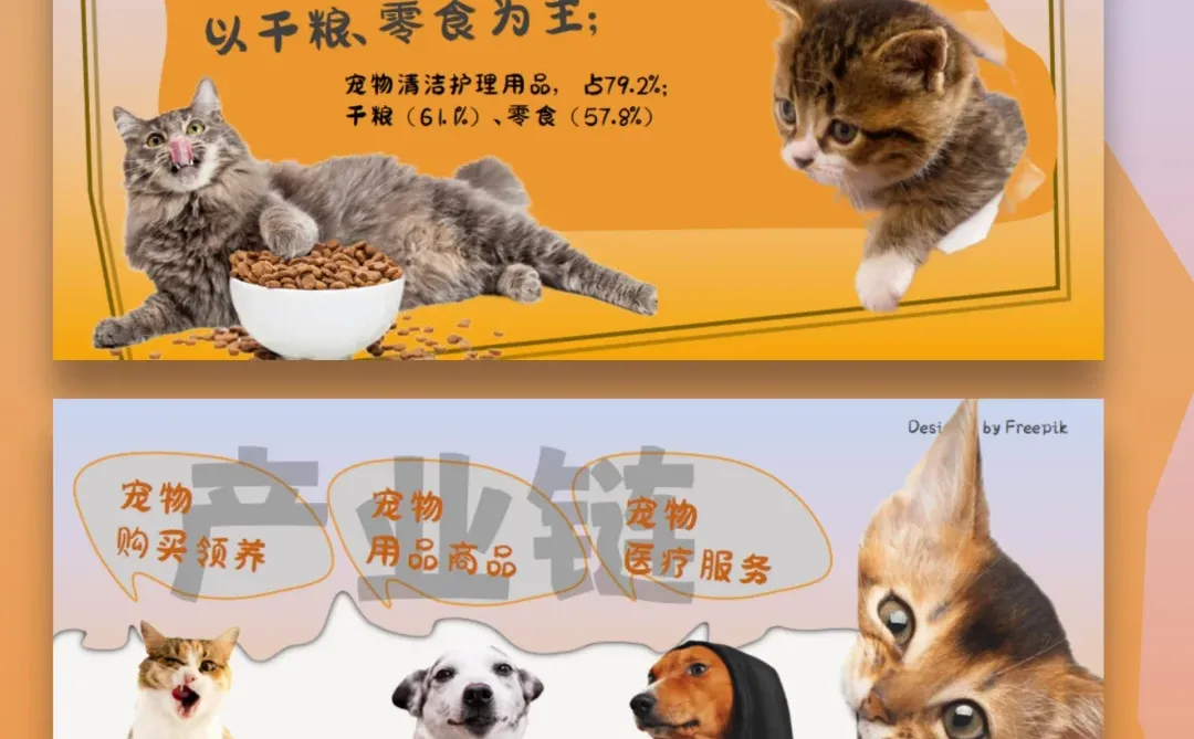 宠物?行业ppt制作分享