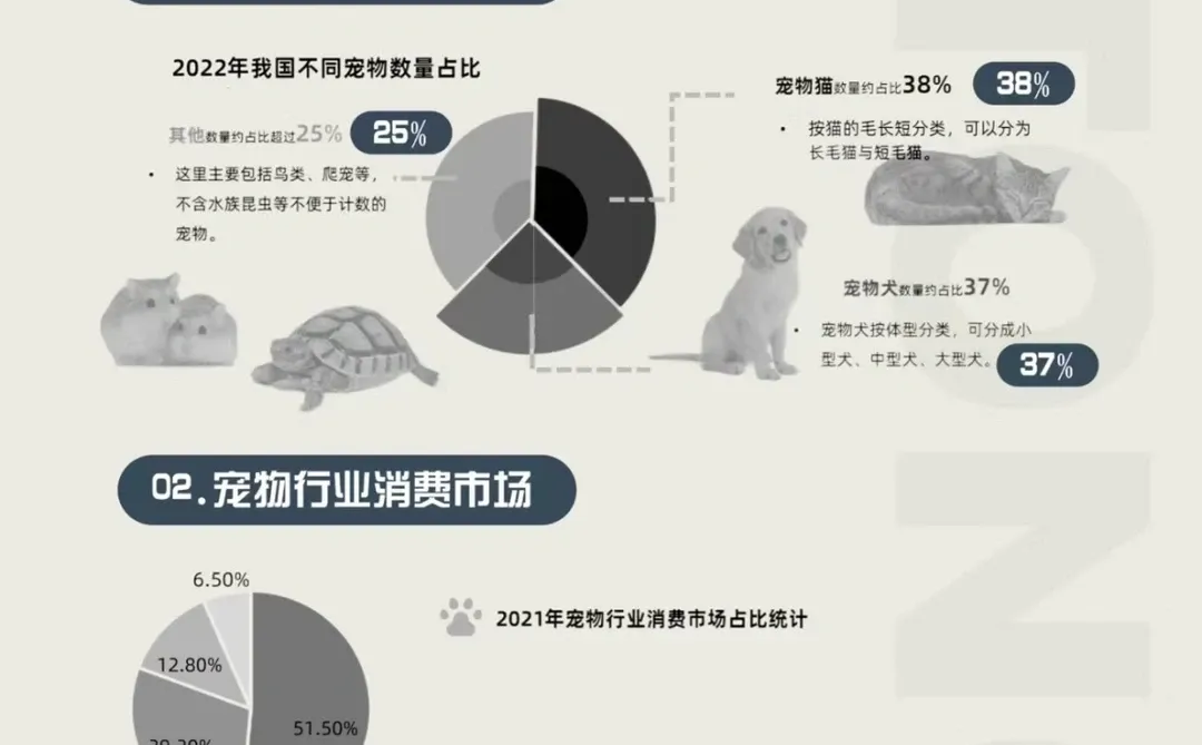 宠物行业报告!2024宠物经济趋势和机会