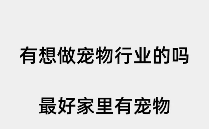 成都有想做宠物行业的吗？