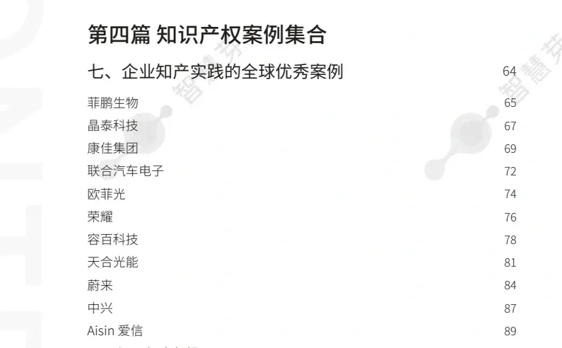 2023全球企业知识产权创新调研报告 100页