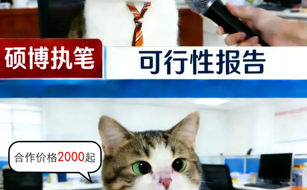 实体公司签约，报告撰写品质保障！
