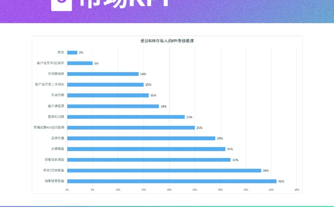 中国B2B市场营销现状调查报告