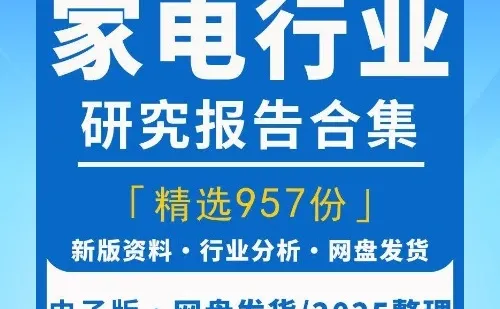 2025家电小家电市场研究报告电商白电