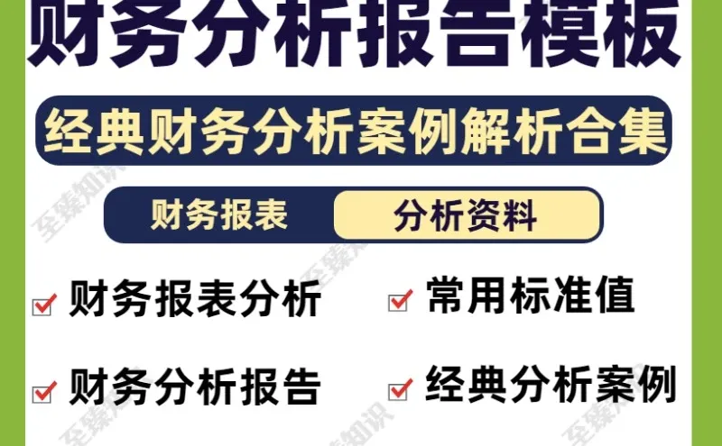 名企上市公司财务总结分析报告范文模板