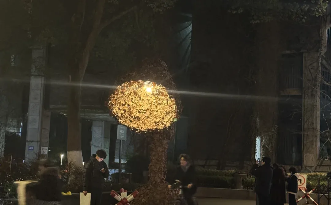 一年一度美院秋叶艺术节又开始啦