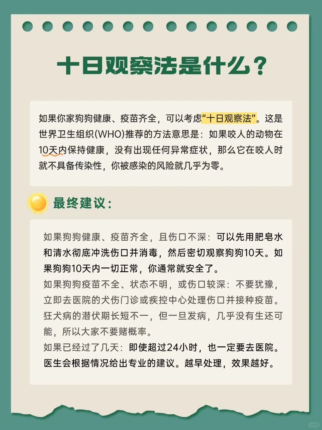 警惕⚠️狂犬病反弹,注意这些很重要