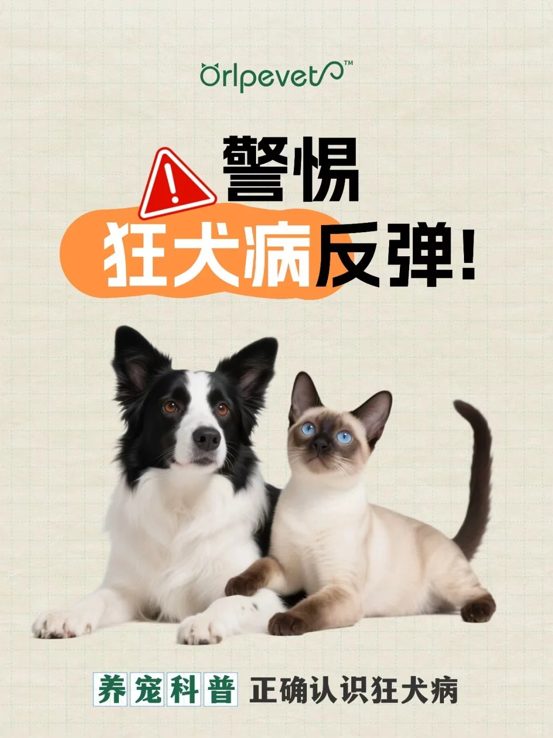 警惕⚠️狂犬病反弹,注意这些很重要