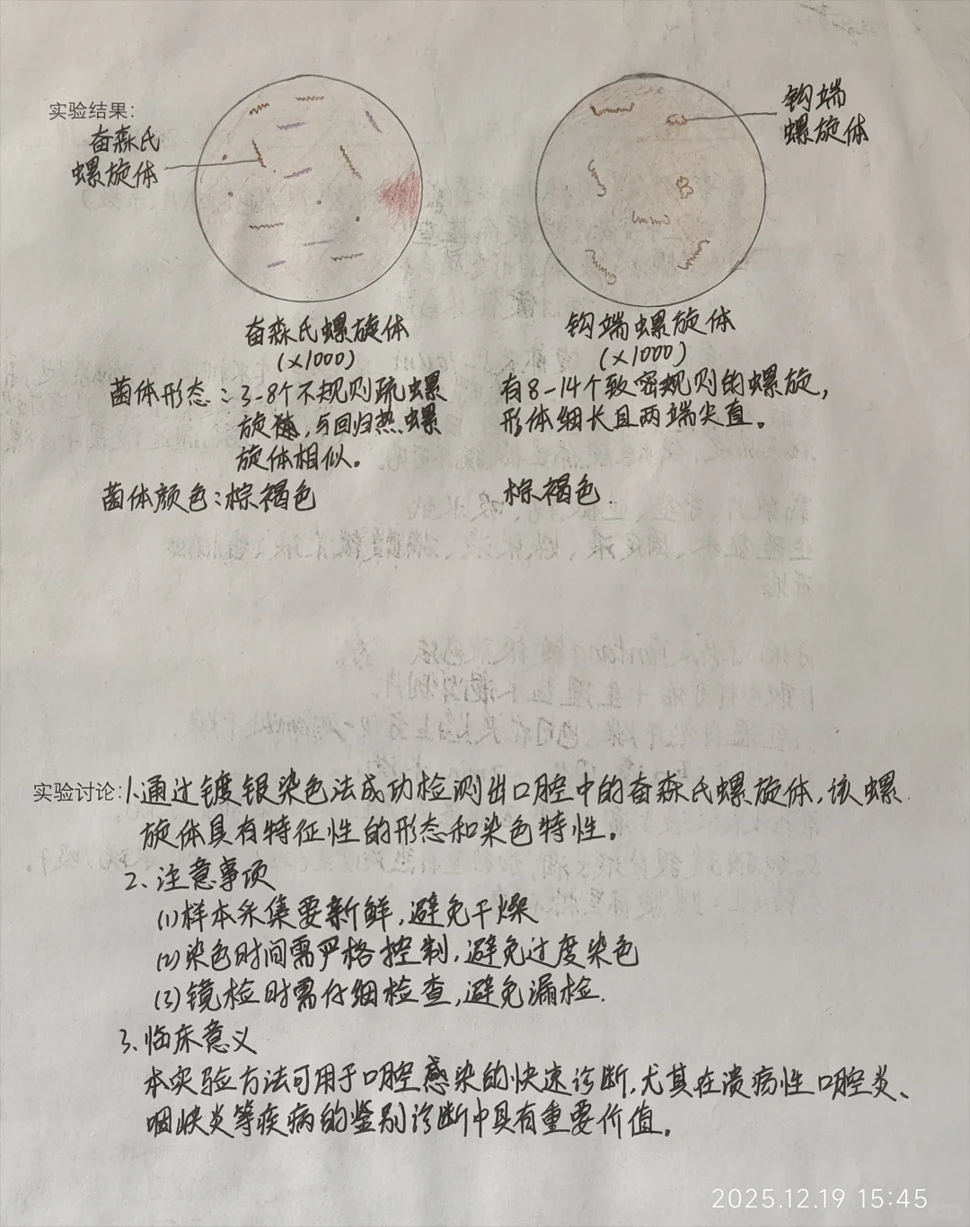 微生物免疫整合‖螺旋体的观察