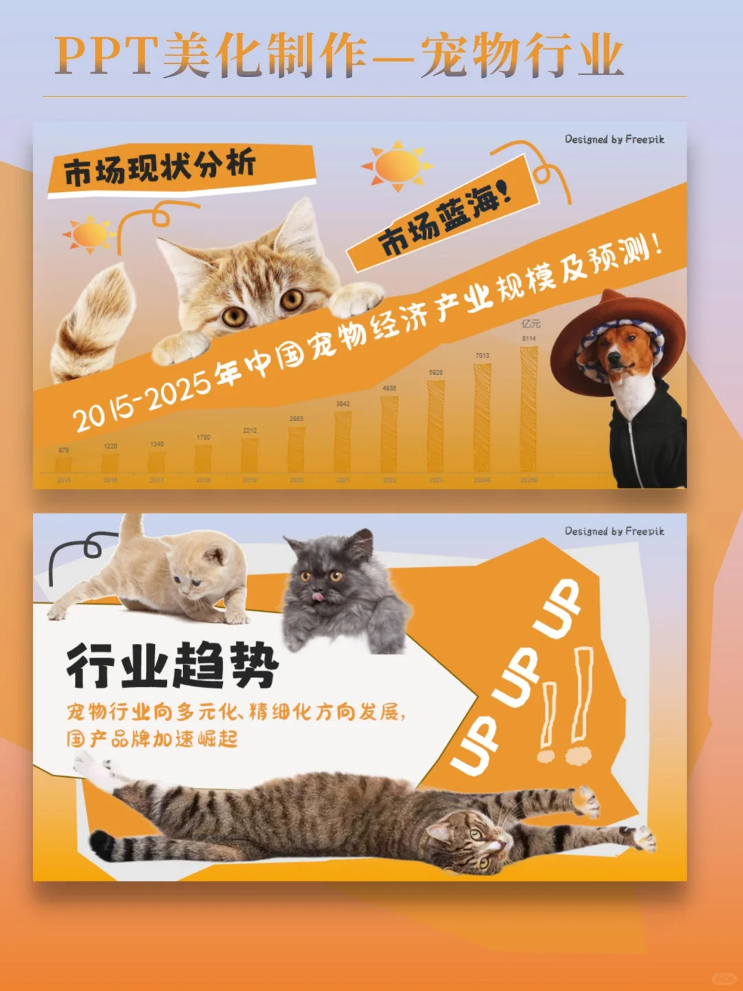 宠物?行业ppt制作分享