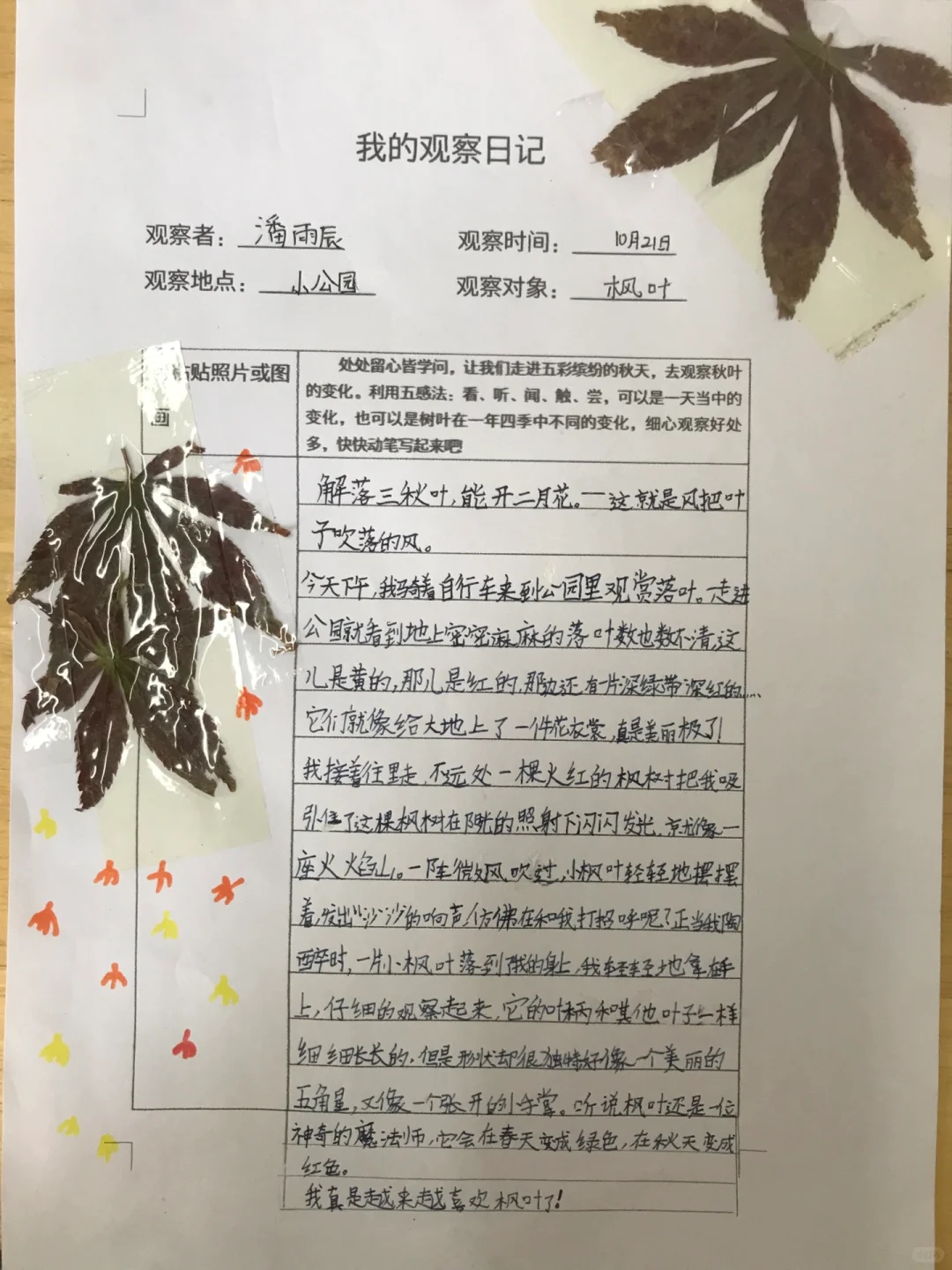 三上《观察记录表》