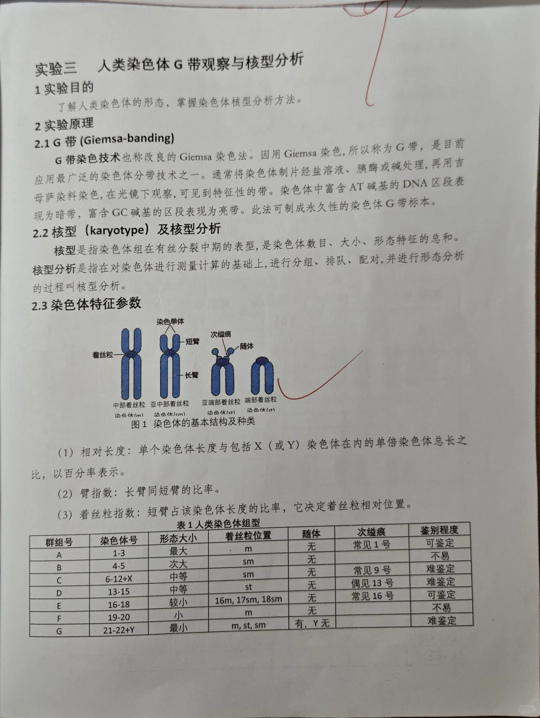 人类染色体G带观察与核型分析