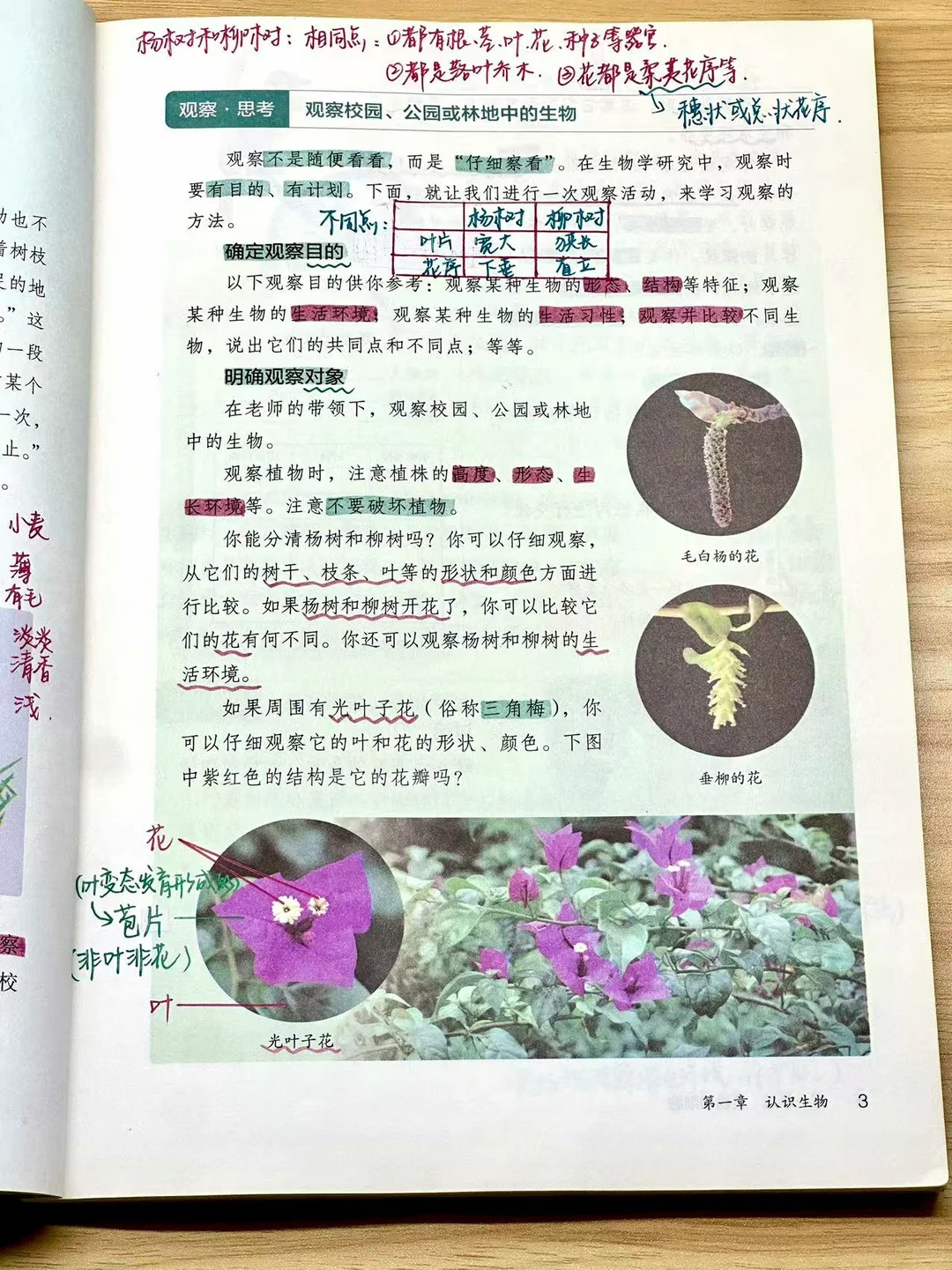 25新七上生物备课笔记｜教案 第二节 观察