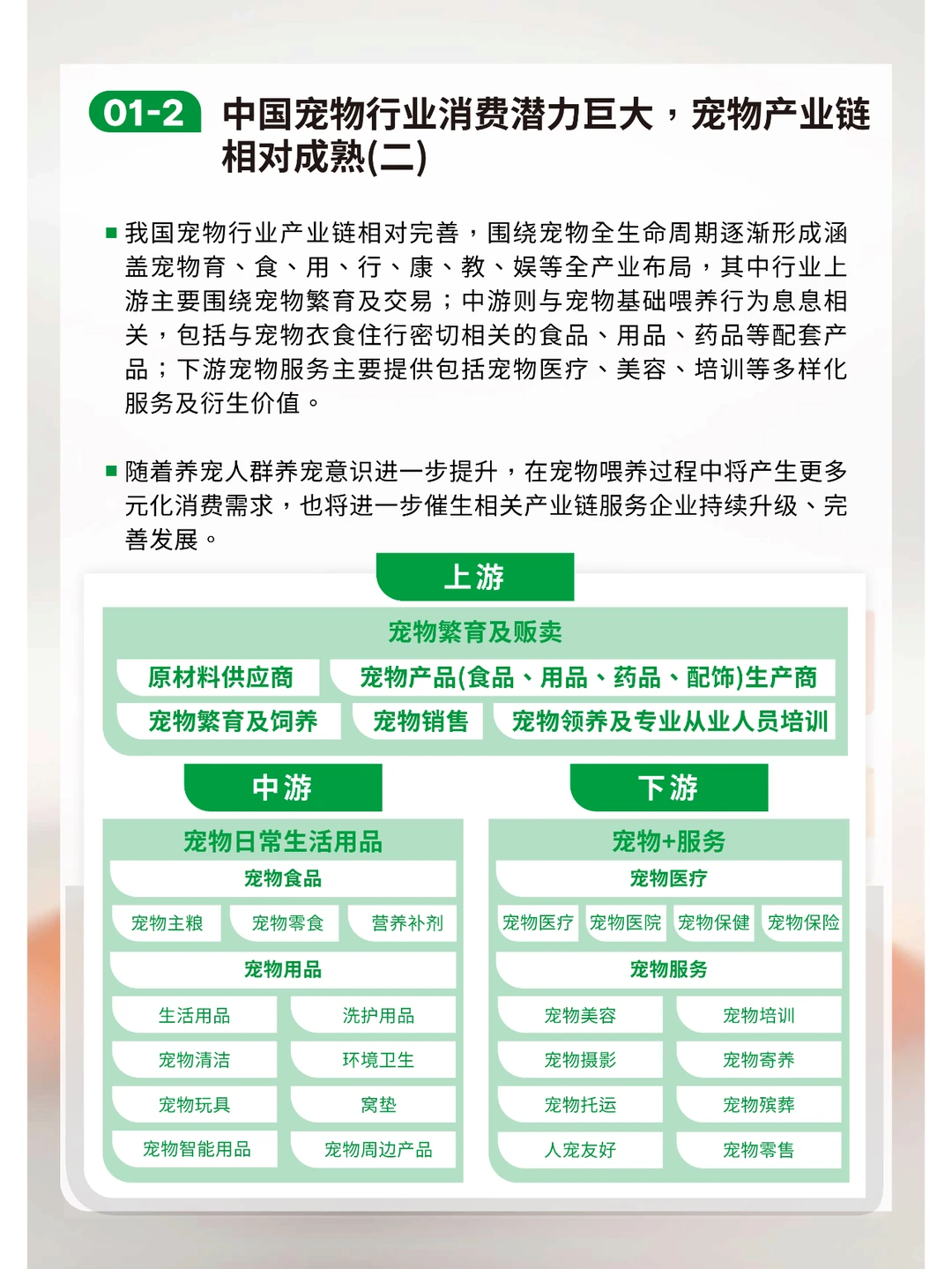 2023-2024中国宠物行业绿皮书研究报告