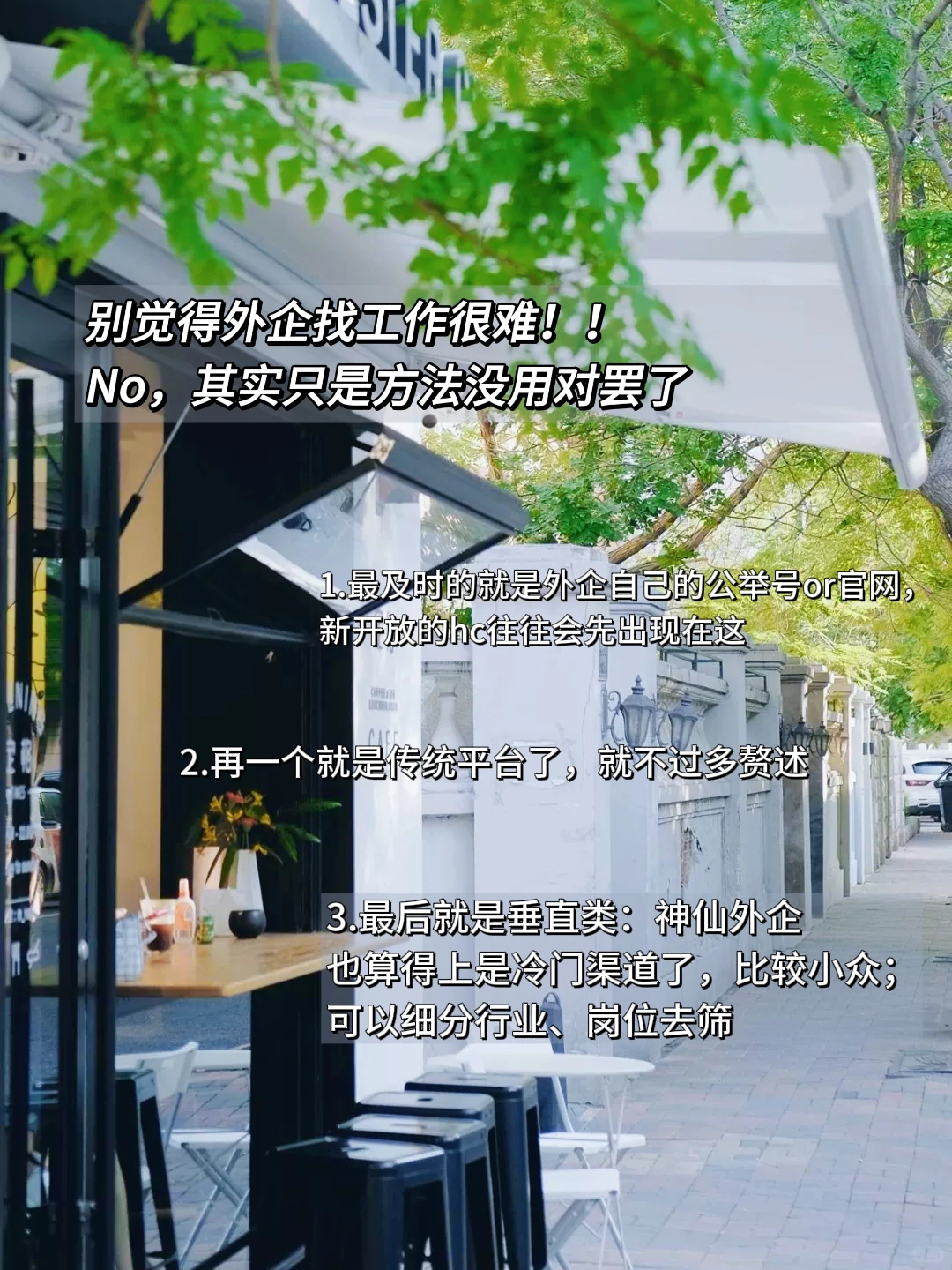 盘点一些冷门好进的公司 “宠物+大健康”类