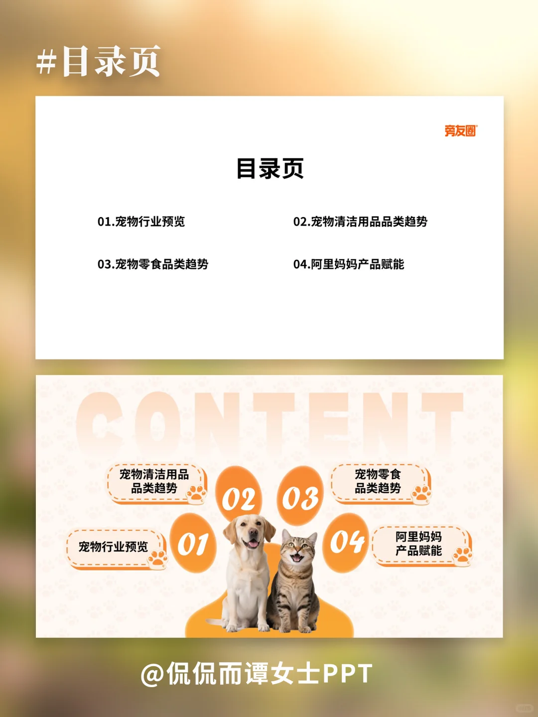 PPT改稿 | 宠物行业PPT
