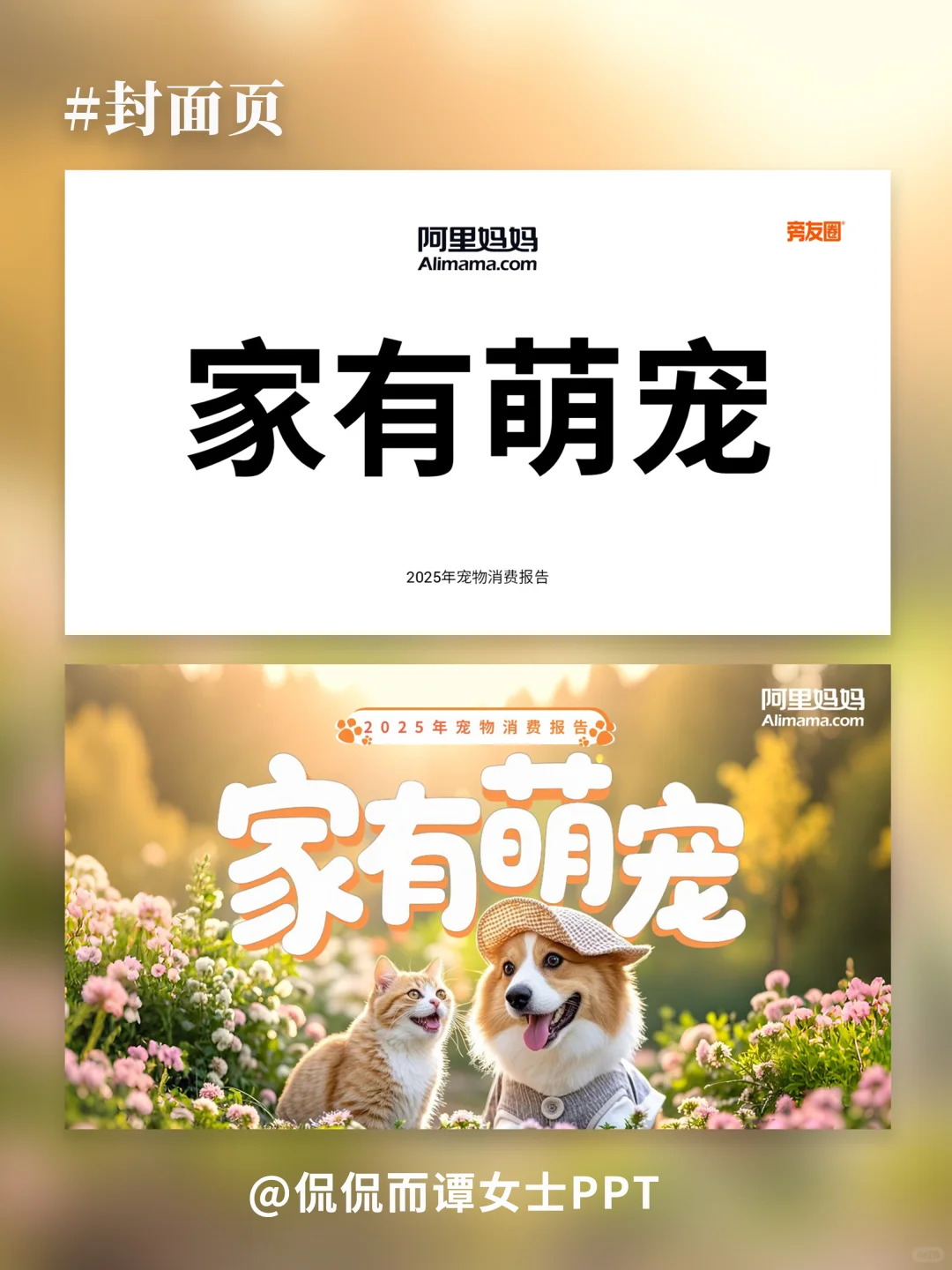 PPT改稿 | 宠物行业PPT