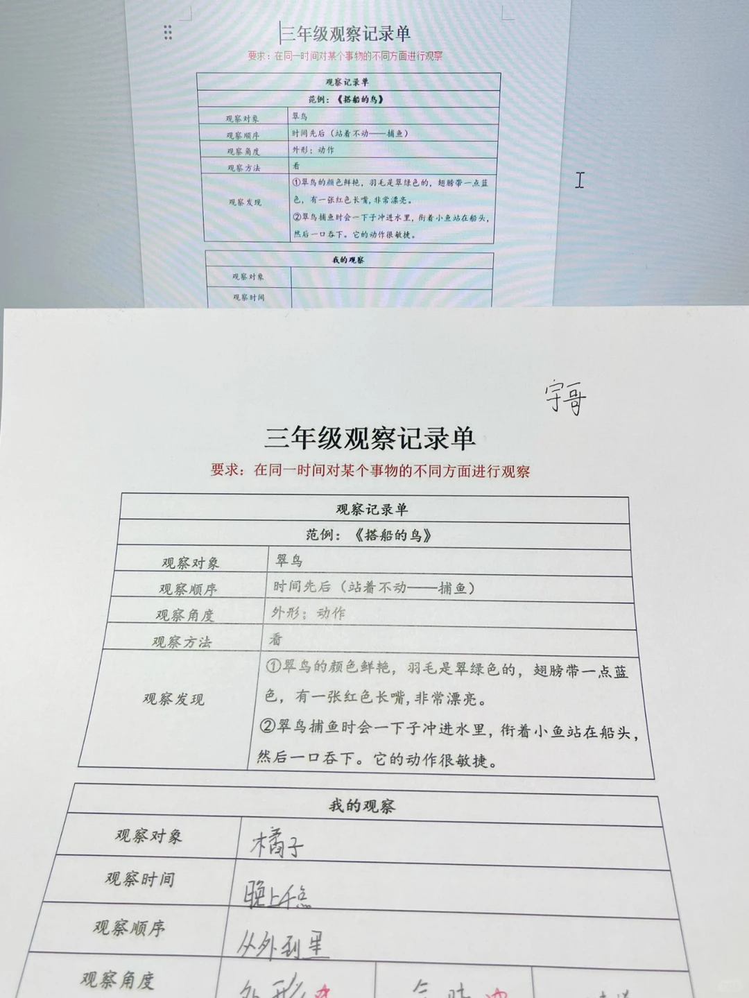 三上五单元 观察记录单（附空白表格
