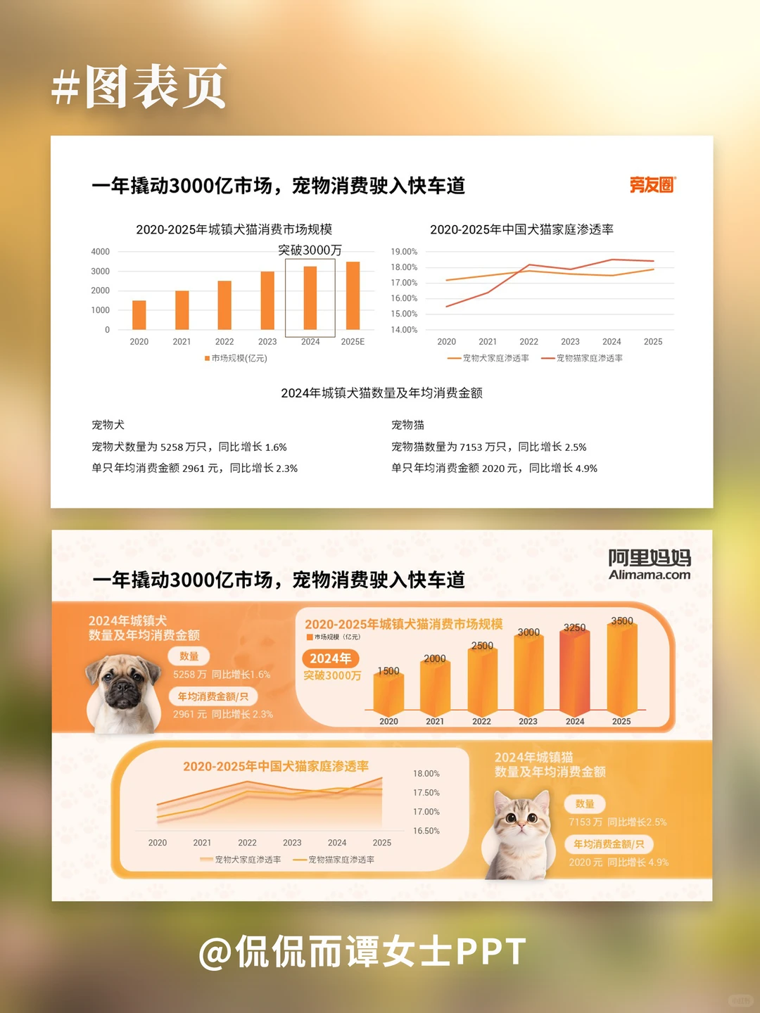 PPT改稿 | 宠物行业PPT