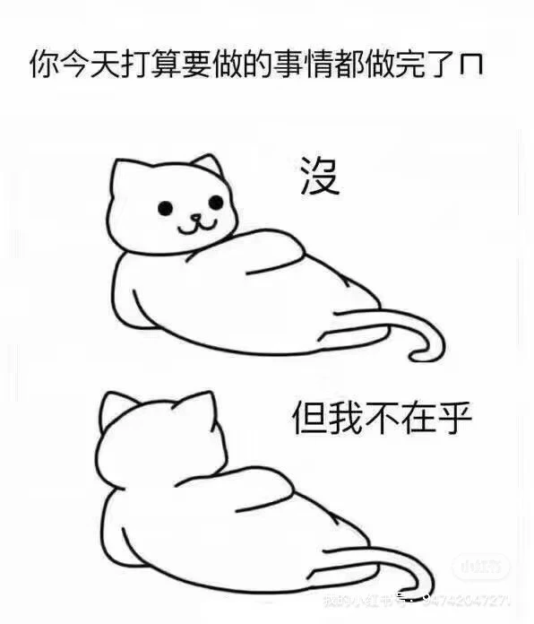 出具各类审计报告，高新申报，复审，项目申报