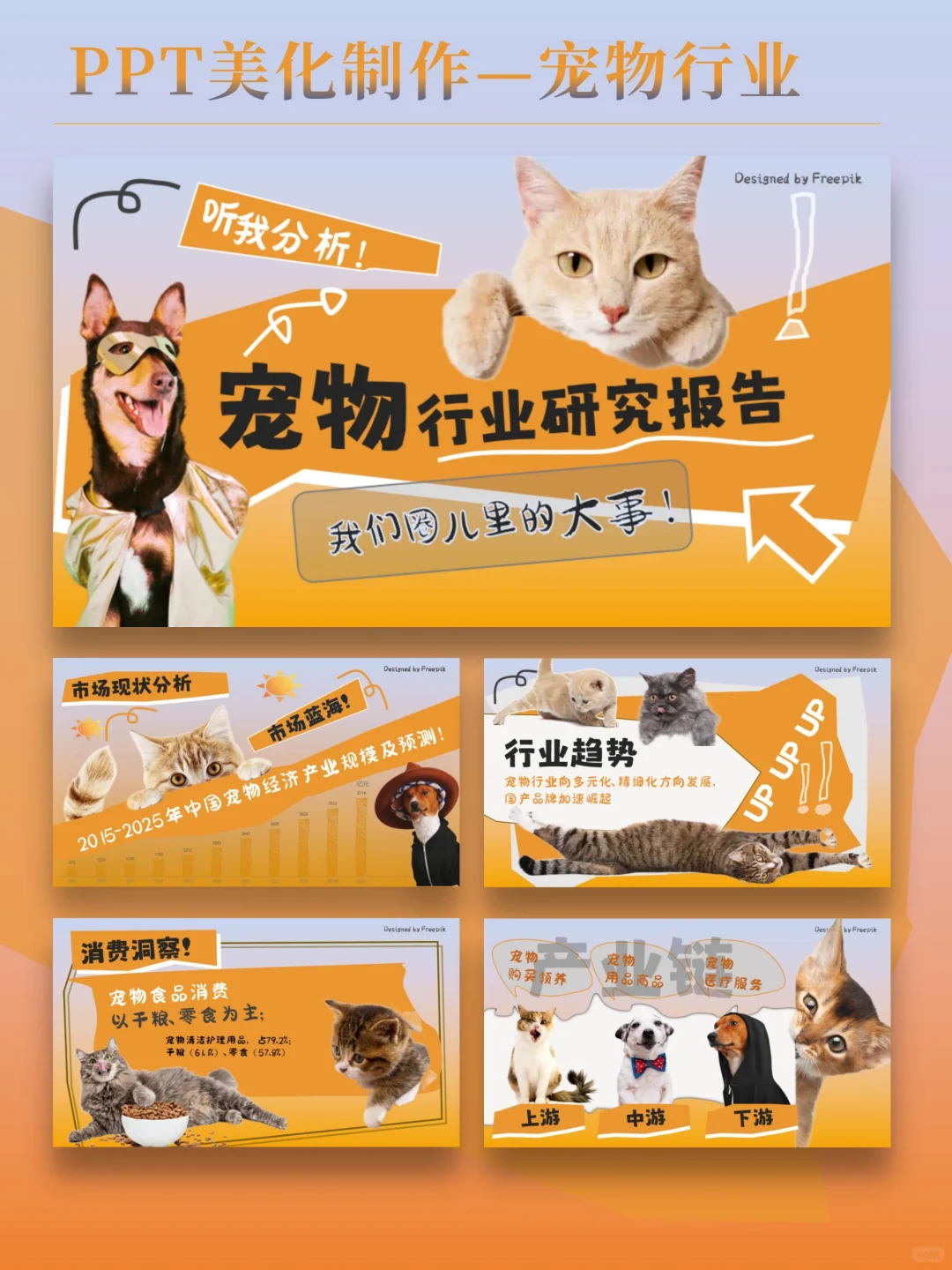 宠物?行业ppt制作分享