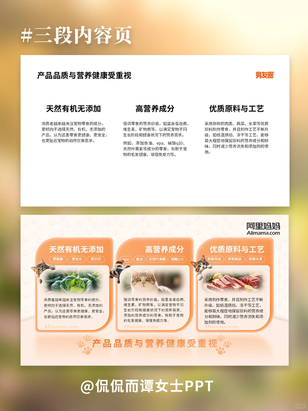 PPT改稿 | 宠物行业PPT