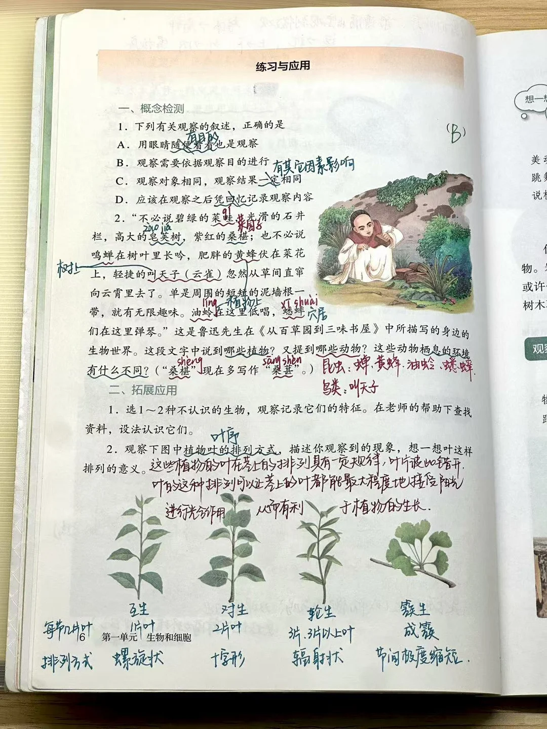25新七上生物备课笔记｜教案 第二节 观察