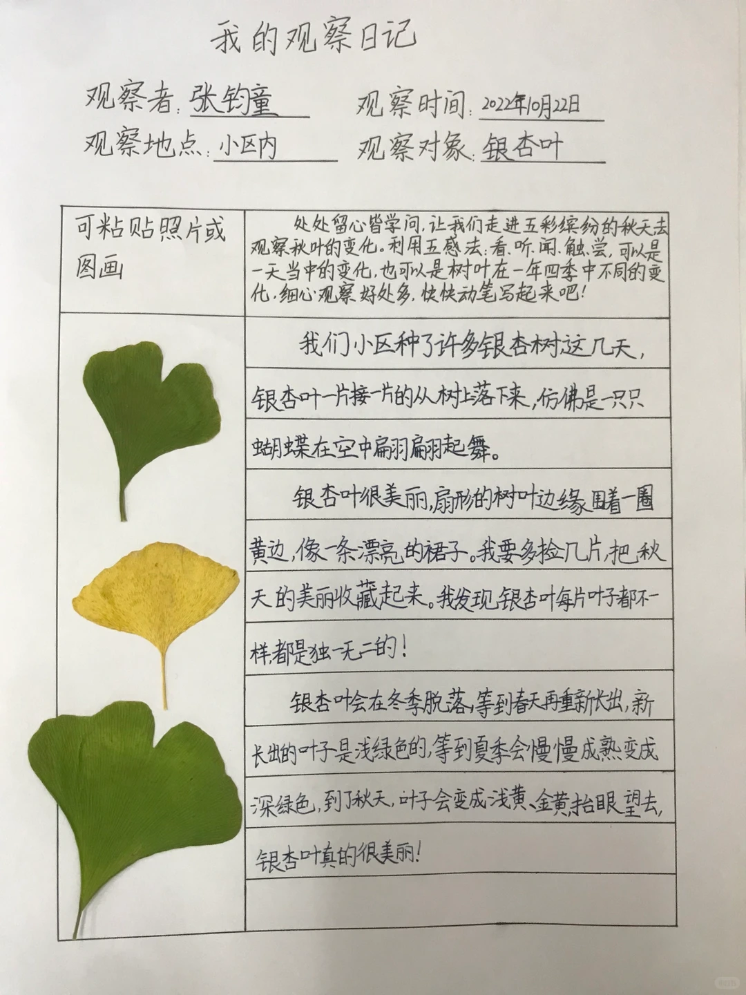 三上《观察记录表》