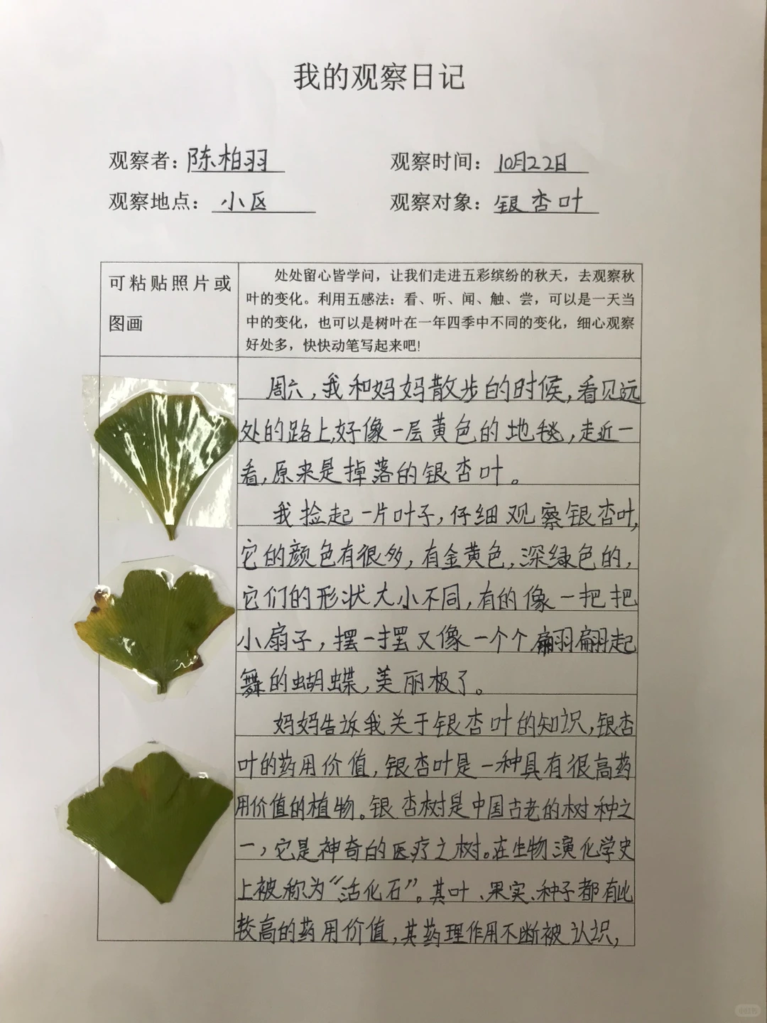 三上《观察记录表》