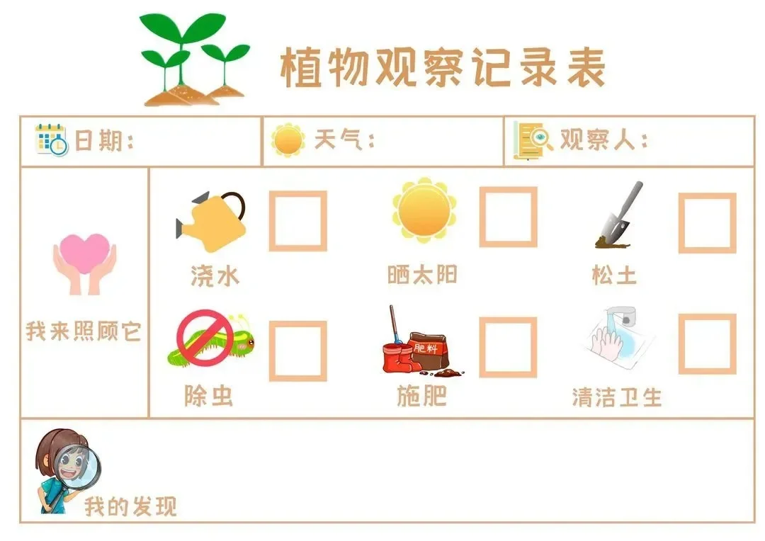植物角观察记录