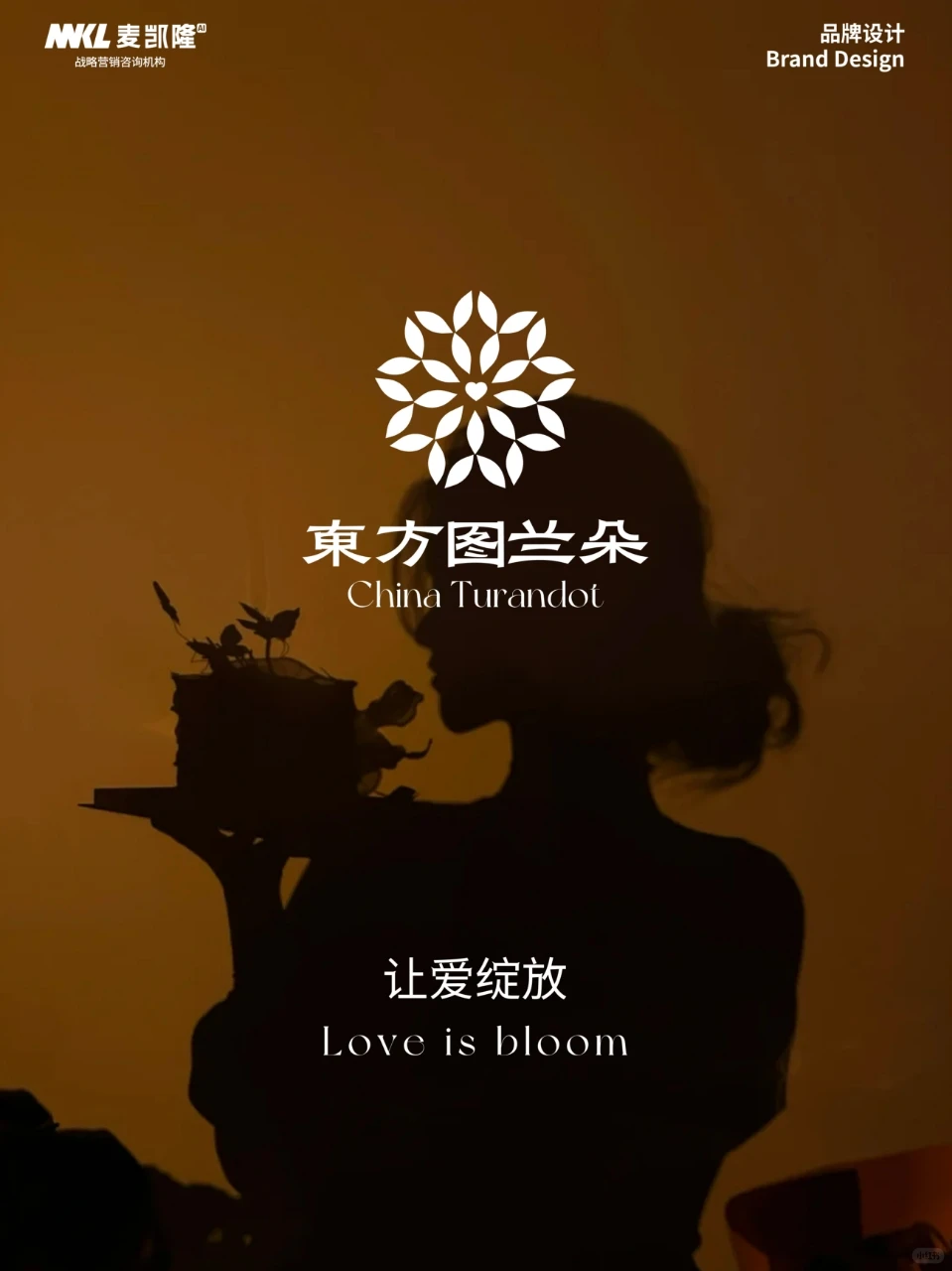 【品牌升级案例分享4】