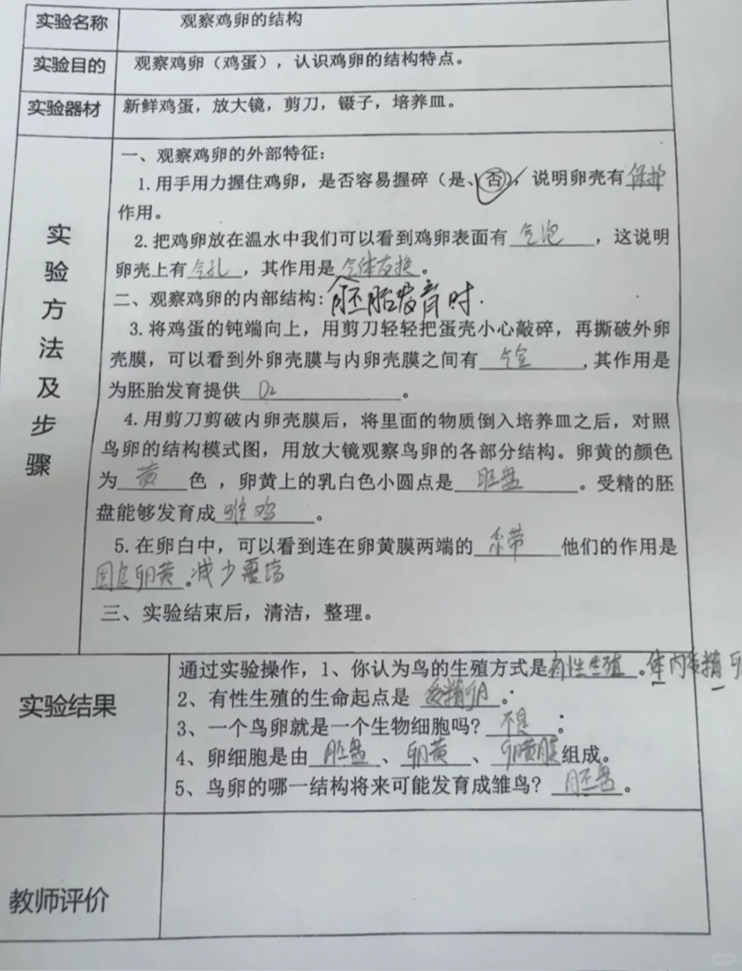八下生物实验报告观察鸡卵的结构