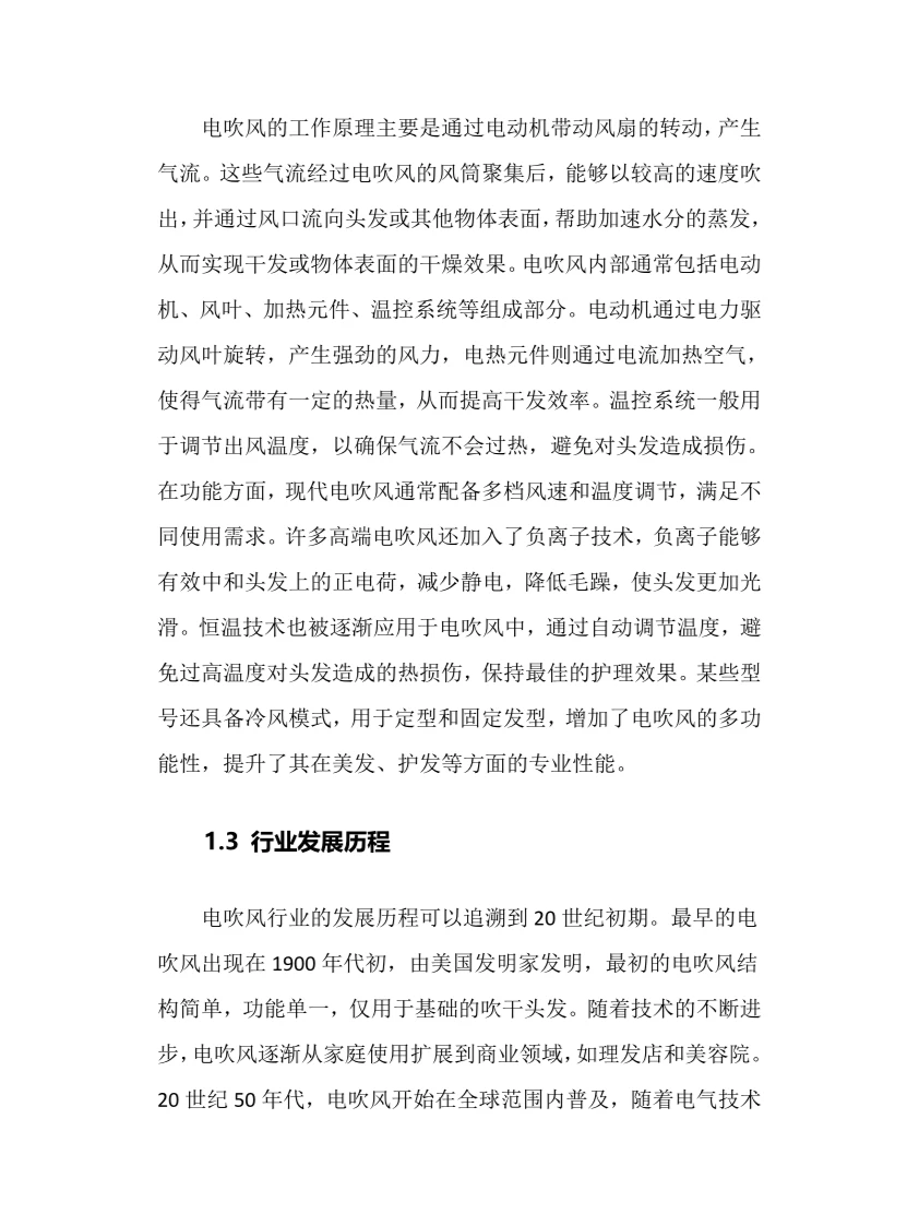 2025年电吹风行业调研分析报告