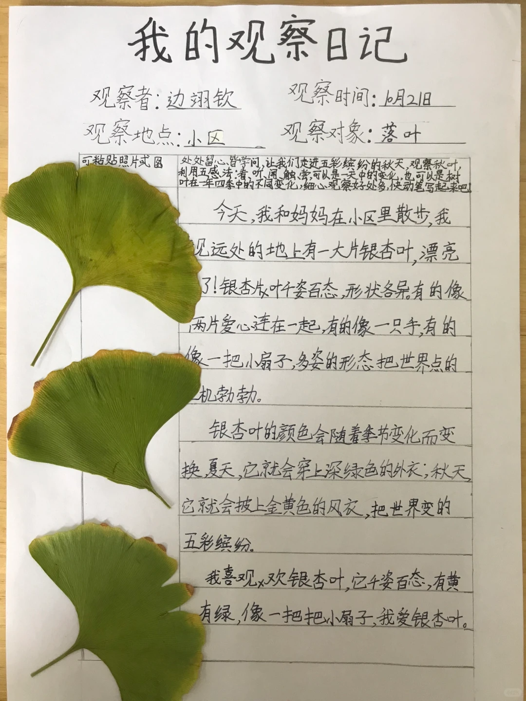 三上《观察记录表》
