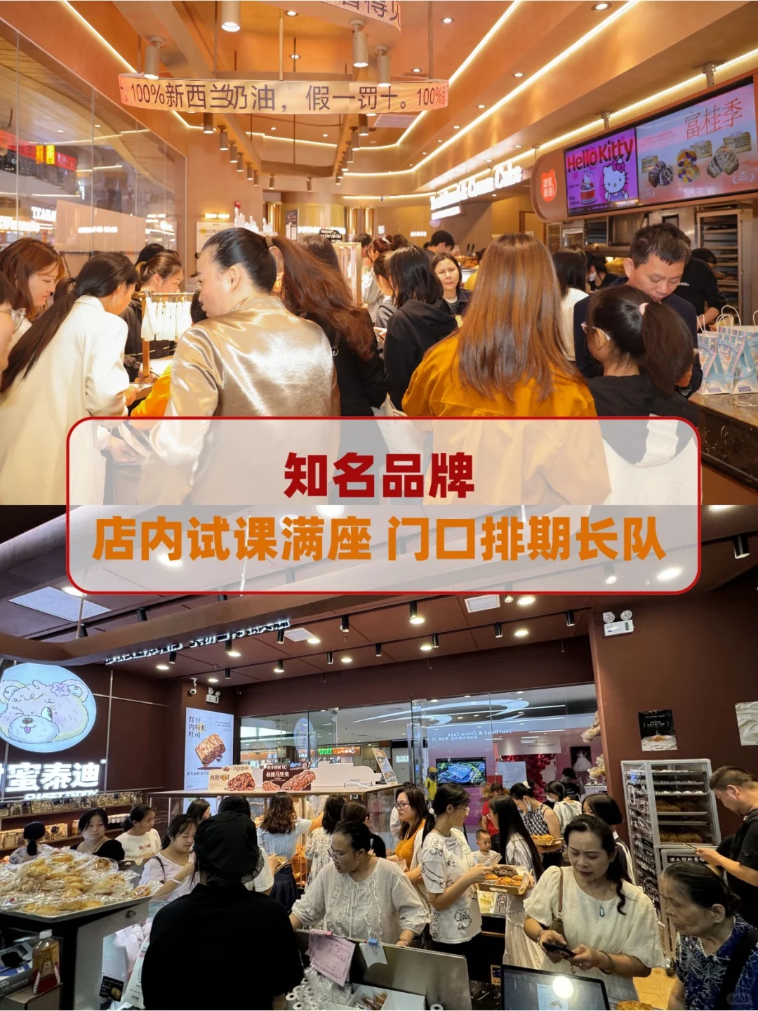 甜蜜泰迪邀请你-60平小店月入50W!